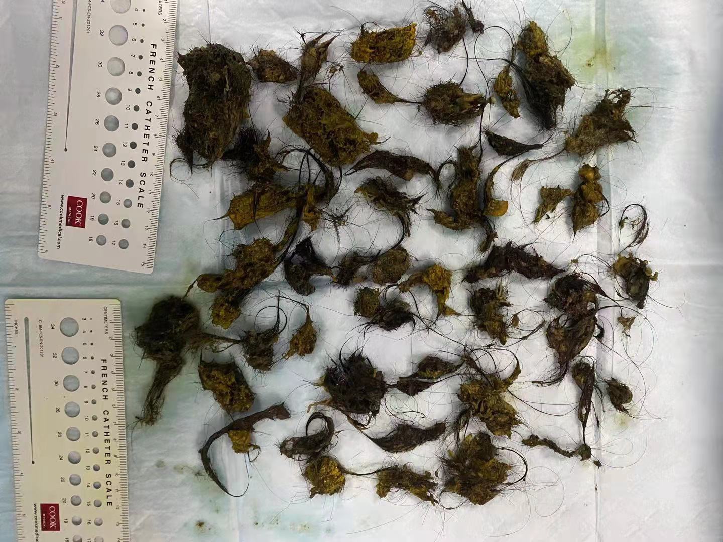 图片[2]-什么是异食癖-老苏