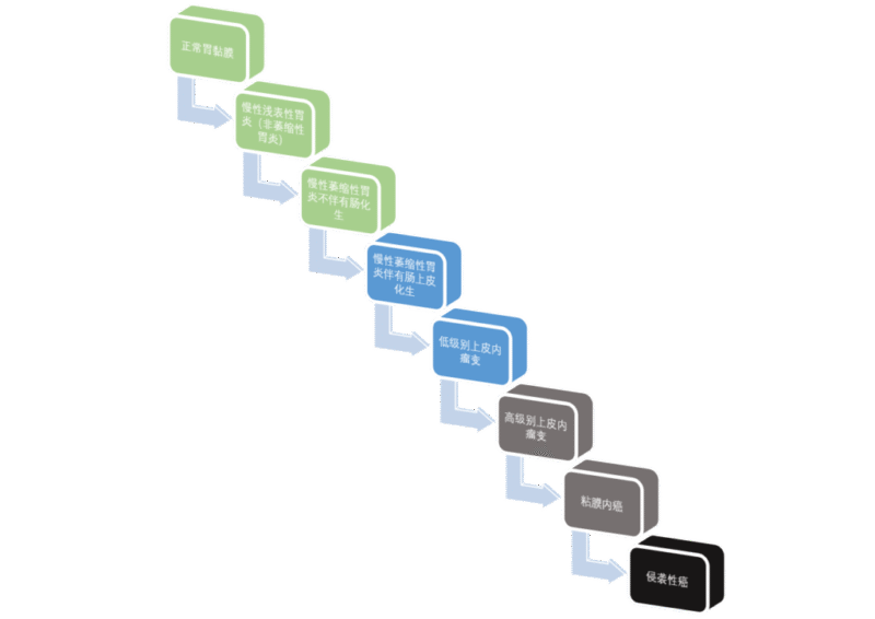 胃粘膜病变流程-老苏