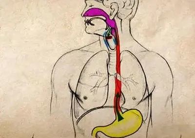 超声诊断胃食管反流病方法-老苏