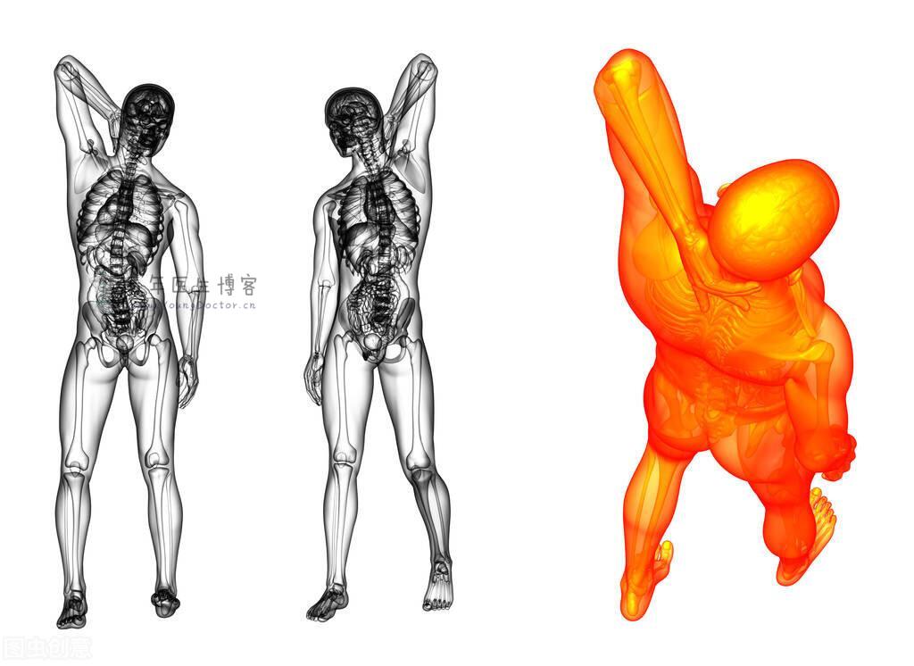 胆病科普研究所|如何检测胆囊收缩（排空）功能？