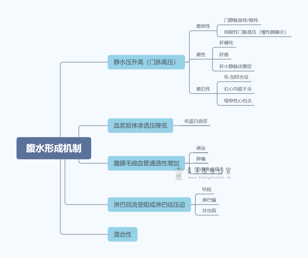 梳理：腹水形成的机制、实验室检查、诊断与鉴别诊断 | 知识卡片