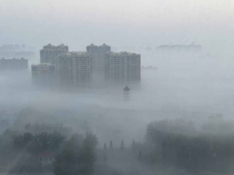 雾天有时候也很美-老苏