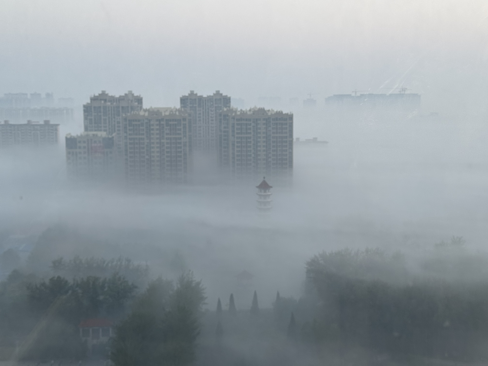 图片[1]-雾天有时候也很美-老苏