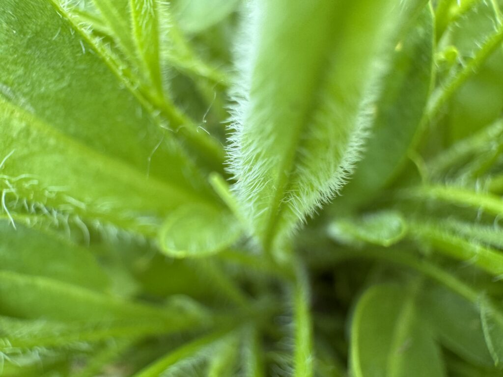 0b6099556f20260411150522