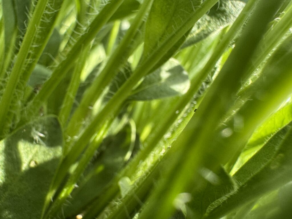 1b5ae141e220260411150534