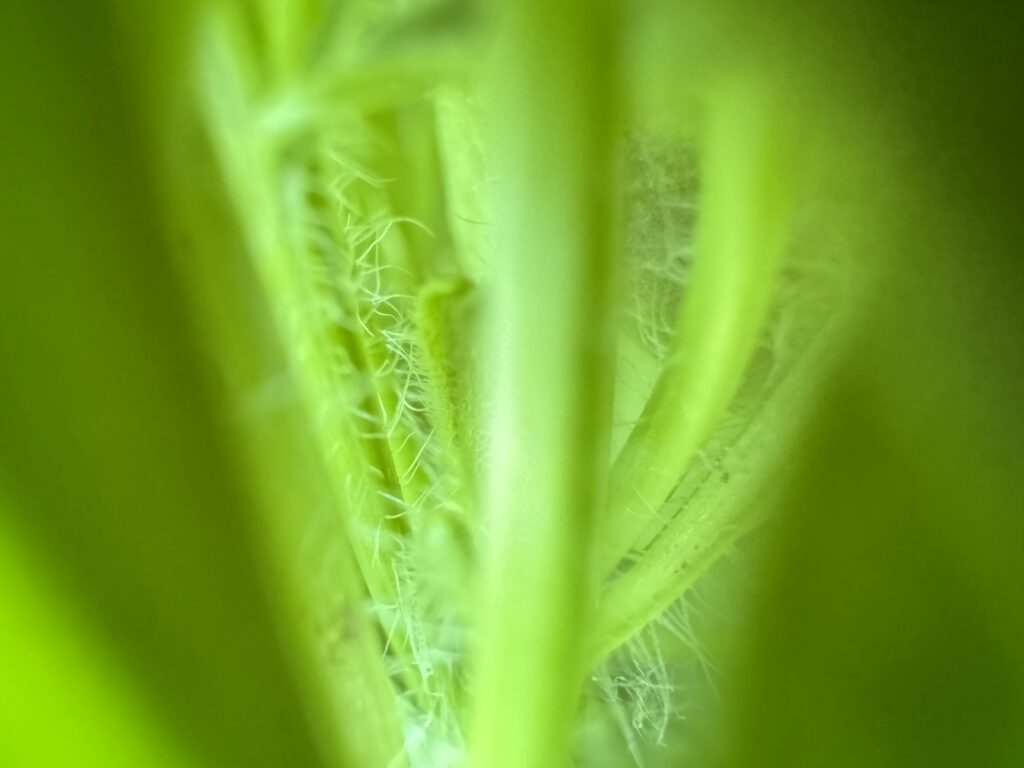 5a7340b5a420260411150522