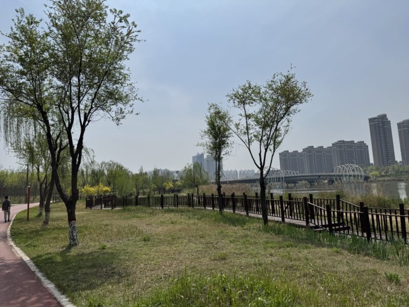 脂肪肝病因全面分析报告-老苏