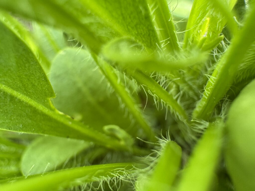 efe430788520260411150520