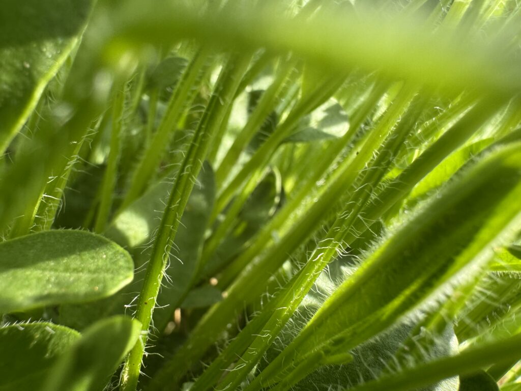 f4410494f920260411150534