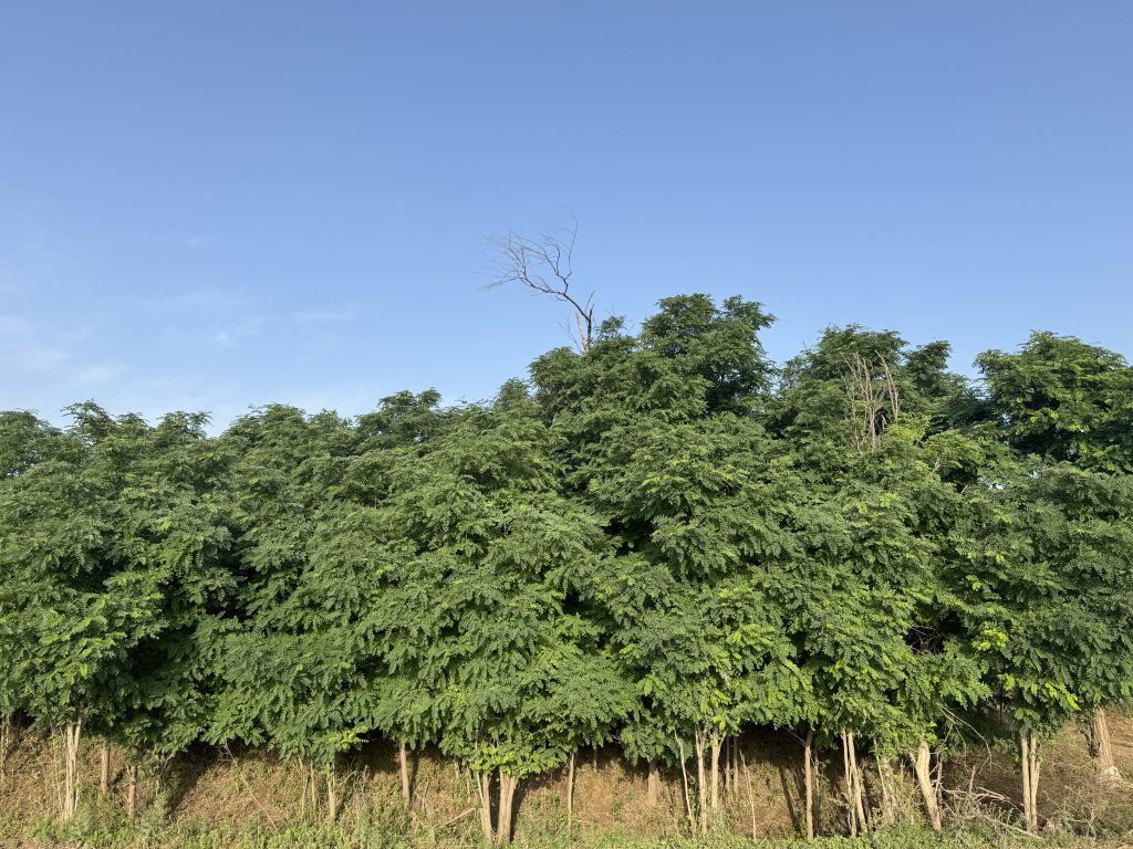 eb4304d0c220260626095008