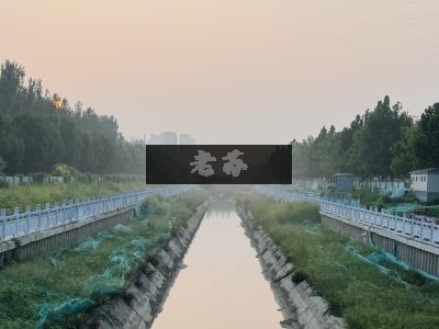 脂肪肝病因全面分析报告