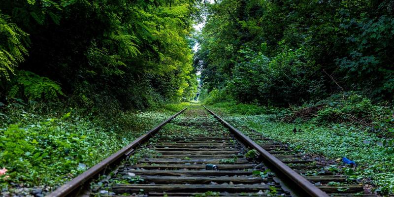 红细胞和血清的 ABO 血型检测