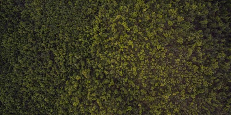 下消化道出血的治疗要点