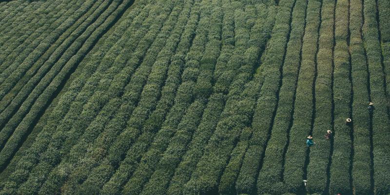 便秘：症状、原因与治疗全攻略