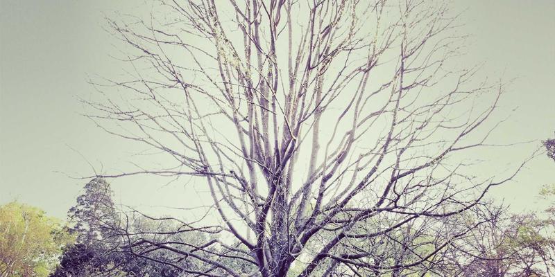 24小时食管pH-阻抗监测怎么做