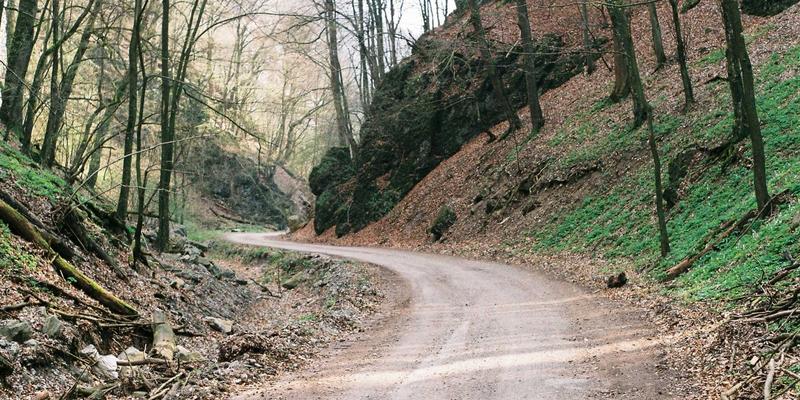 胆囊癌术后复发，腹壁静脉曲张