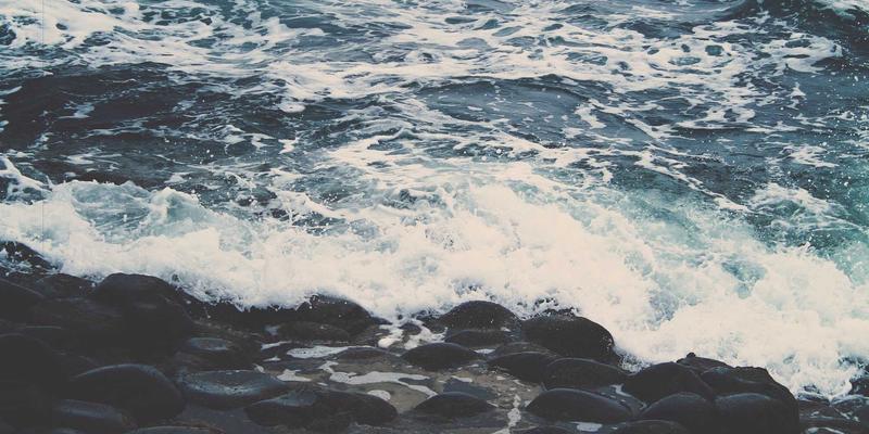 偶遇一身刺的你