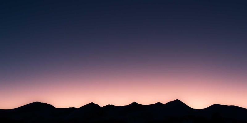 蜂窝织炎性胃炎一例