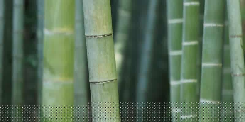 胃癌诊疗规范（2018年版）