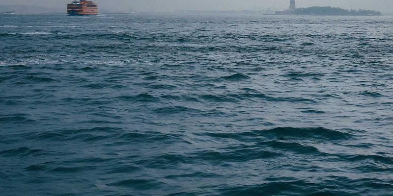 肠淋巴管扩张症 （IL）