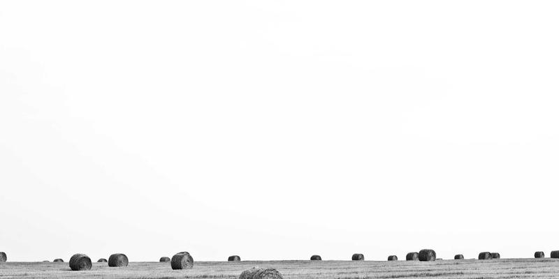 每天睁眼三件事