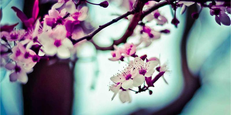 上消化道溃疡出血的管理：2021 ACG临床指南发布！ | 指南共识